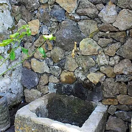 Villa Quinta Rosas
