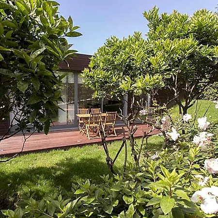 Quinta Rosas Villa Ribeira Grande