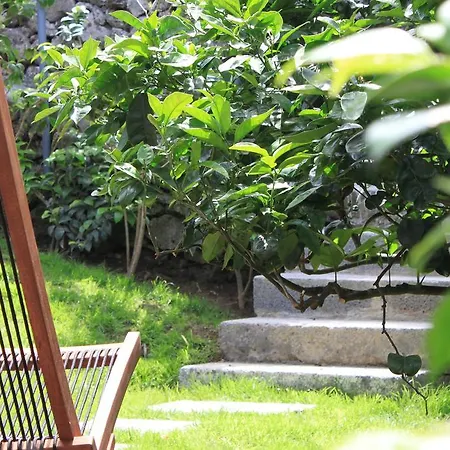 Quinta Rosas Villa Ribeira Grande