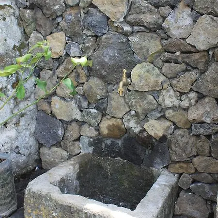 Quinta Rosas Villa