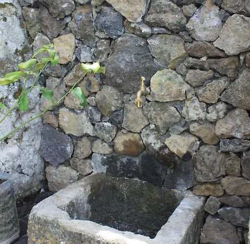 Quinta Rosas فيلة